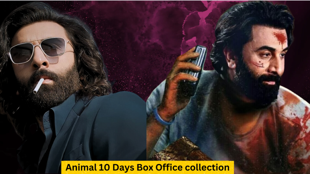 Animal 10 Days Box Office Collection