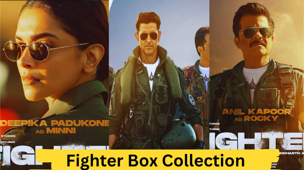 Fighter Box Collection